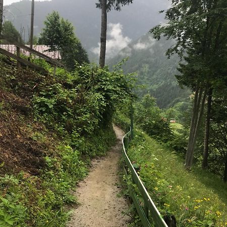 Maneviga Cafe & Apart Apart otel Uzungöl Dış mekan fotoğraf