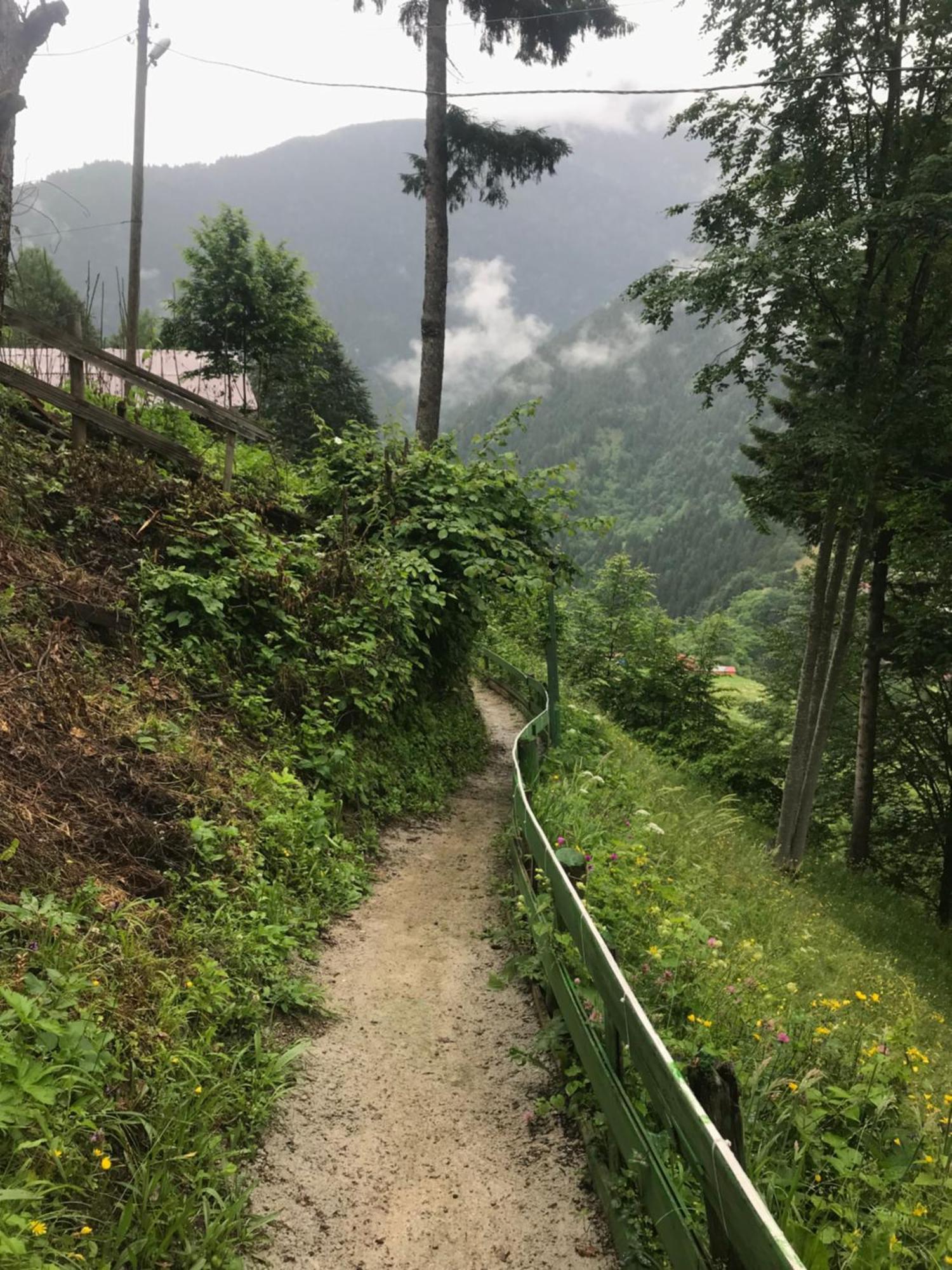 Maneviga Cafe & Apart Apart otel Uzungöl Dış mekan fotoğraf