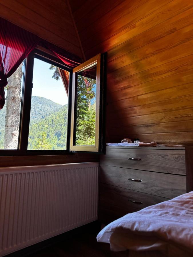 Maneviga Cafe & Apart Apart otel Uzungöl Dış mekan fotoğraf