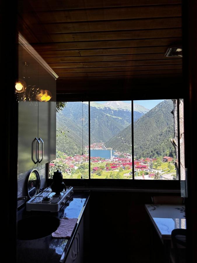 Maneviga Cafe & Apart Apart otel Uzungöl Dış mekan fotoğraf