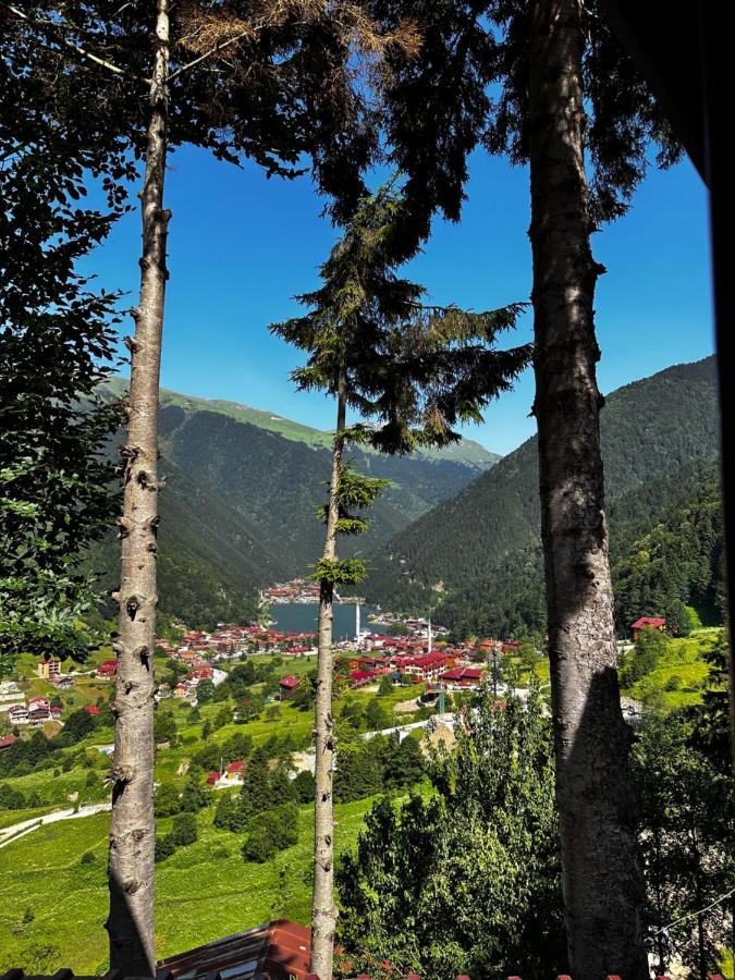 Maneviga Cafe & Apart Apart otel Uzungöl Dış mekan fotoğraf