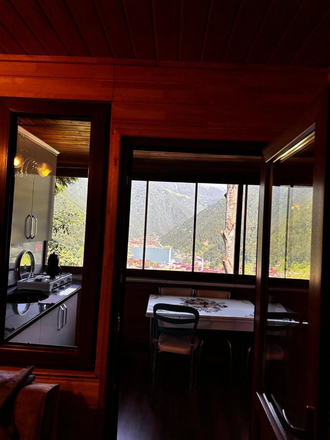 Maneviga Cafe & Apart Apart otel Uzungöl Dış mekan fotoğraf